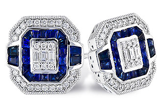 C318-88293: EARR .78 SAPP TW 1.03 TGW