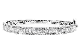 E319-73793: BANGLE 4.19 E.C. 5.30 TW