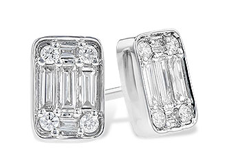 G318-82902: EARR .19 BAG .30 TW