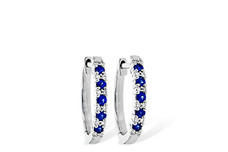 H236-12883: EARR .24 SAPP .30 TGW